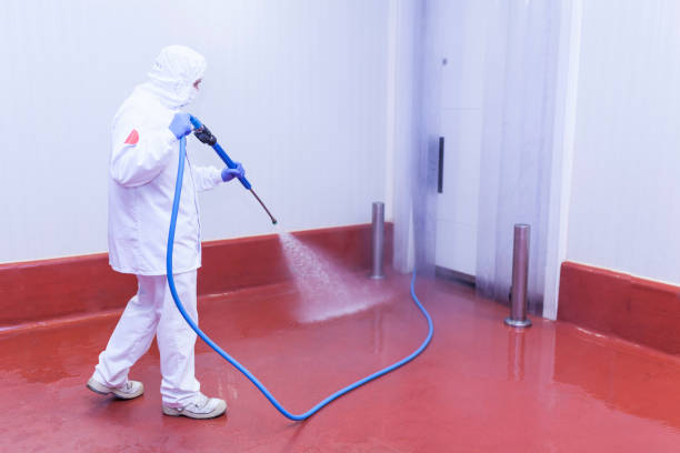 Spring Cleaning in Suncoast Estates, FL